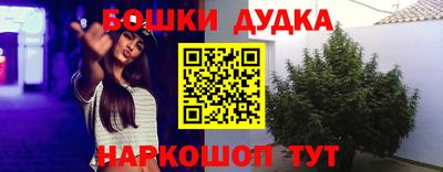 ECSTASY Конаково