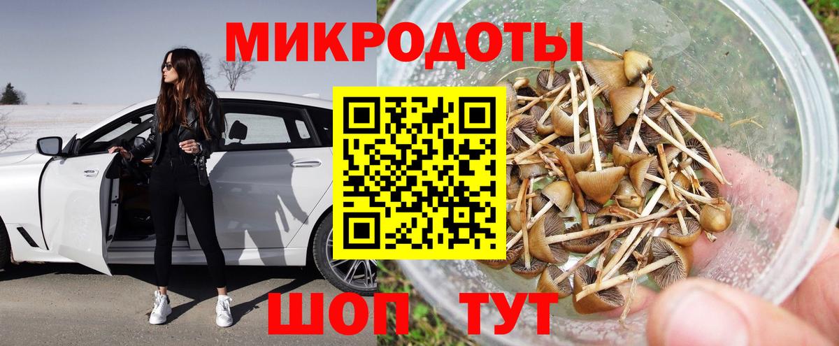 Галлюциногенные грибы мицелий  купить закладку  Кудрово  Вход с VPN  Псилоцибиновые грибы MAGIC MUSHROOMS 