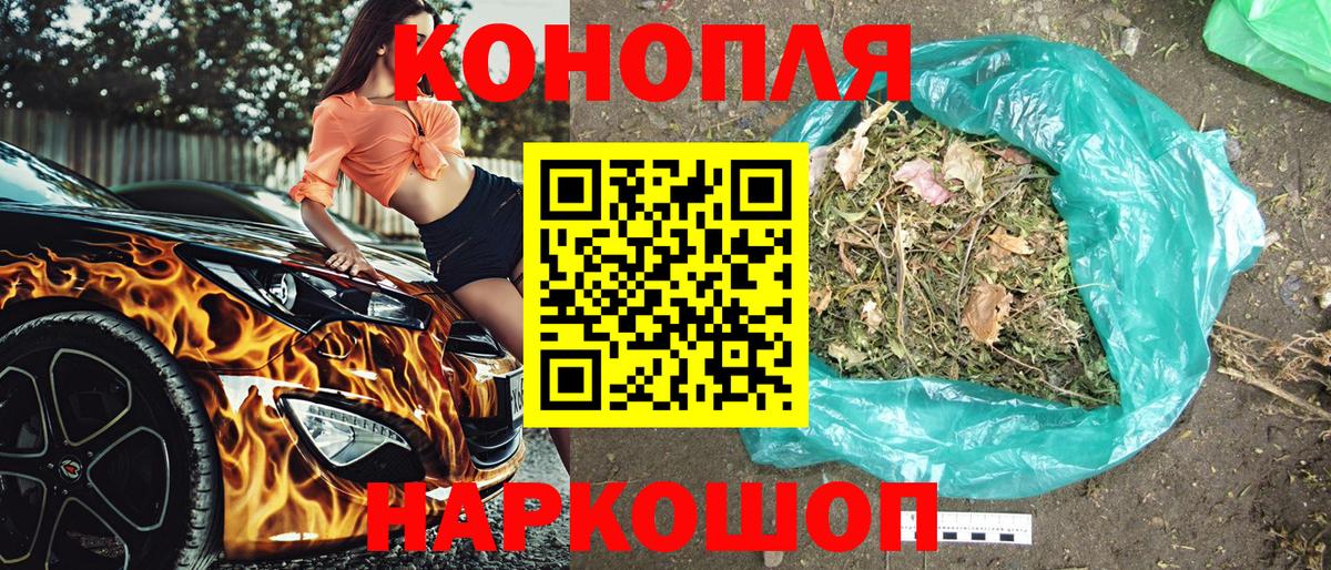 Бошки Шишки MAZAR Кудрово